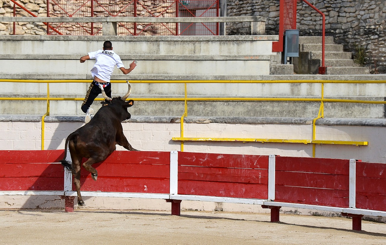 並不少見